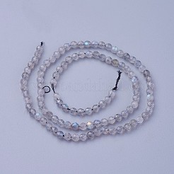 Chapelets de perles en labradorite naturelle &nbsp;G-F619-15-4mm