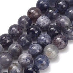 Perles naturelles Iolite brins&nbsp;X-G-G300-A04-8mm