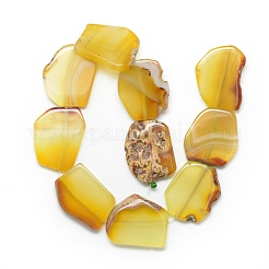 Натуральные полосатые агатовые / полосатые агатовые бусинки G-S235-03