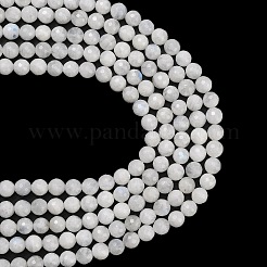 Бусины из натурального радужного лунного камня&nbsp;G-C280-B15-8mm
