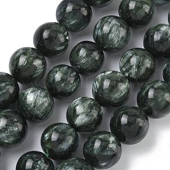 Природные SERAPHINITE нитей бисера&nbsp;G-C270-O01-13