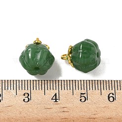 Glas Anhänger / charms&nbsp;GLAA-P072-04G-08