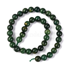 Природные африканские нефритовые бусы пряди&nbsp;G-K091-10mm