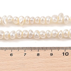 Fili di perle di conchiglie galvanizzate&nbsp;BSHE-C006-06B