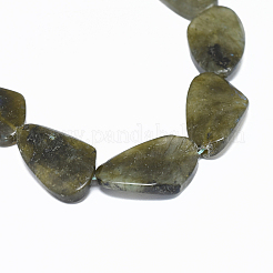Perline labradorite naturale fili&nbsp;G-F632-03