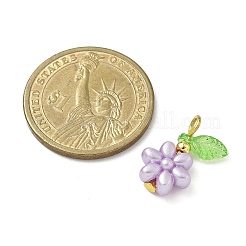 Акриловые подвески&nbsp;PALLOY-JF04398