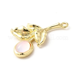 Стеклянные подвески FIND-H015-01G-02