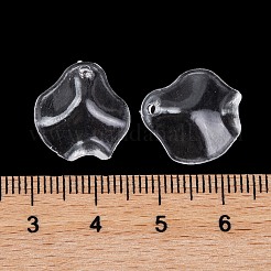 Прозрачные акриловые подвески&nbsp;TACR-G050-01F