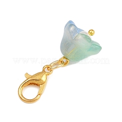 Подвесные украшения из прозрачного стекла HJEW-JM04148