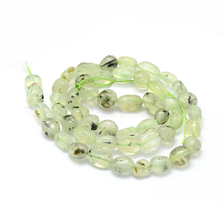 Природные пренит нитей бисера G-K230-20