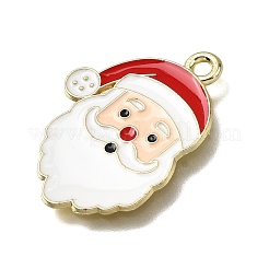 Pendentifs d'émail en alliage&nbsp;FIND-Z094-03G-06