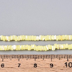 Нити бусин из натуральных трохоидных/трохус ракушек&nbsp;SSHEL-N040-21G