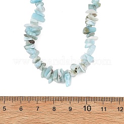 Colliers en perles de larimar naturel avec chaînes d'extrémité en acier inoxydable 304&nbsp;NJEW-JN06662