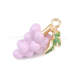 Подвески с эмалью из фруктового сплава&nbsp;ENAM-P264-02G-G04