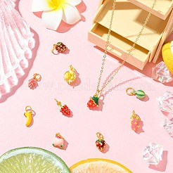 10шт 10 стиля сплава эмалевые подвески&nbsp;FIND-CJ0005-18