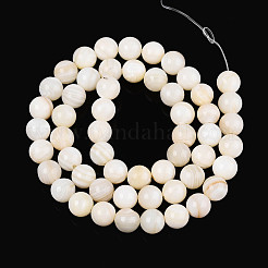 Нити бусин из натуральных пресноводных ракушек SHEL-N038-05