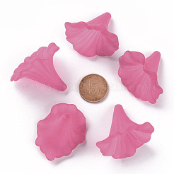 Прозрачные акриловые бусины&nbsp;X-BSF796-C16