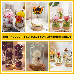 Стеклянный купол&nbsp;AJEW-WH0083-47A