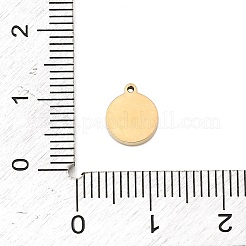 Breloques en acier inoxydable 304 micro pavé de zircones cubiques&nbsp;STAS-I356-04G-01