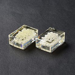 Прозрачные акриловые бусины&nbsp;TACR-XCP0001-13