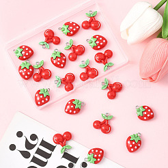 20шт 2 стиля непрозрачные подвески из смолы&nbsp;RESI-SC0036-65