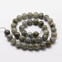 Labradorite naturale fili di perline&nbsp;X-G-O155-05B-8mm