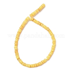 Chapelets de perles de coquille d'eau douce naturelle teinte&nbsp;SH-CBA2978-05B