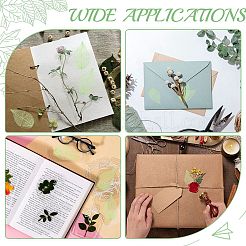100 pièce de fournitures d'artisanat en feuilles de fleurs séchées&nbsp;AJEW-CP0009-41A