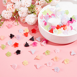 360 шт. 12-х цветные матовые акриловые колпачки для бусин&nbsp;OACR-DC0001-19