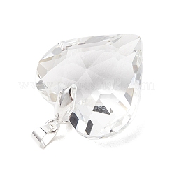 Pendentifs en verre transparent&nbsp;PALLOY-JF05262-01