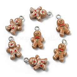 16шт 2 стиля рождественская тема непрозрачные подвески из смолы&nbsp;RESI-YW0005-25