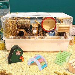 木製の踏み台シーソー  小さなおもちゃ  ミックスカラー  15x7.8x5.5mm  7セット /バッグ&nbsp;AJEW-GA0001-71