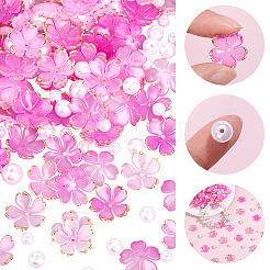 アクリルビーズキャップ120個  5  - 花びらの花  90 個の abs プラスチック模造真珠ビーズ  ラウンド  カメリア  17.5x18x5mm  穴：1.2mm&nbsp;OACR-PA0002-13A