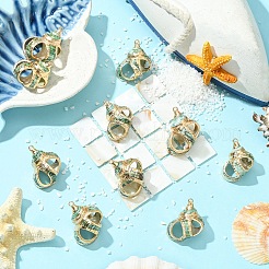 5 шт. подвески из натуральной морской ракушки&nbsp;SSHEL-YW0001-11