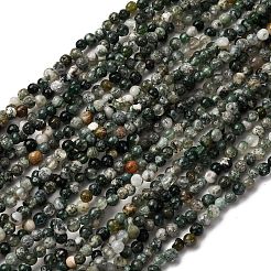 Природные моховой агат бисер нитей G-I389-A40