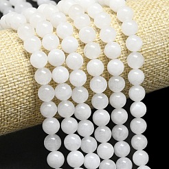 Натуральный Malaysia нефритовые бусы пряди&nbsp;G-L645-B01-8mm-01