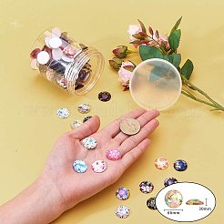 Flatback стеклянные кабошоны для поделок проектов GGLA-PH0004-27B