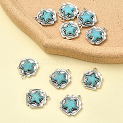 10шт подвески из синтетической бирюзы&nbsp;FIND-YW0009-37