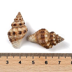 天然スパイラルシェルペンダント  貝殻の形のチャーム  ココナッツブラウン  20~32x11~16x9~15mm  穴：1.4mm  約344個/500g&nbsp;SHEL-K009-17C