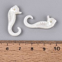 Pendentifs en plastique CCB&nbsp;PL-N007-08