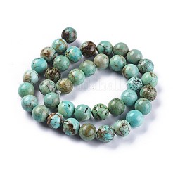 Бусины из натурального магнезита TURQ-F017-02-10mm