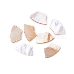 Cabochons en coquille, fan, coquille jaune, 10x17x1~1.5mm