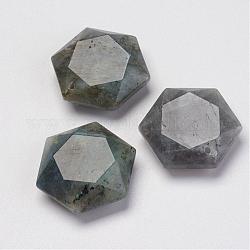 Natural Labradorite Pendants, Hexagon, 28~29x25x9~10mm, Hole: 1.5mm