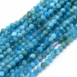 Chapelets de perles en apatite naturelle, facette, ronde, 2mm, Trou: 0.5mm, Environ 150 pcs/chapelet, 15.35 pouce (39 cm).