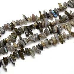 Perles labradorite brins, pépites, 9~22x4~10mm, Trou: 1mm, environ 15.7 pouce