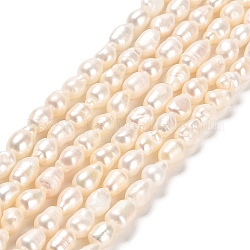 Fili di perle di perle d'acqua dolce coltivate naturali, due lati lucido, grado 3a+, biancheria, 5~10x4.5~6mm, Foro: 0.6 mm, circa 45~48pcs/filo, 13.27~13.46 pollice (33.7~34.2 cm)