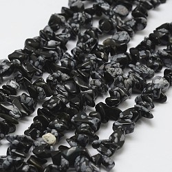 Fiocco di neve naturale perle di ossidiana fili, pezzo, nero, 3~5x7~13x2~4mm, Foro: 0.4 mm, 34.9 pollice
