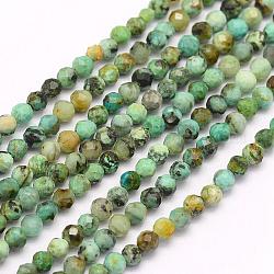 Fili di perle naturali di turchese africano (diaspro), sfaccettato, tondo, 2mm, Foro: 0.5 mm, circa 176~200pcs/filo, 15.7 pollice (40 cm)