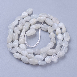Natürlichen weißen Mondstein Perlen Stränge, getrommelt Stein, Nuggets, 5~11x4~6 mm, Bohrung: 1 mm, ca. 56~58 Stk. / Strang, 15.4 Zoll (39 cm)