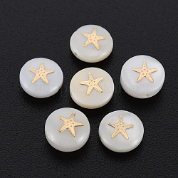 Perles de coquillages naturels d'eau douce, avec des ornements en métal en laiton doré, plat et circulaire avec étoile, couleur de coquillage, 8x3.5mm, Trou: 0.7mm